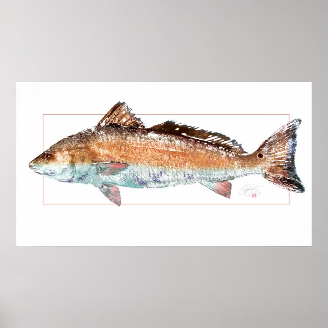 Redfish Poster (Frente)