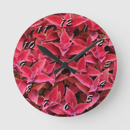 Redondo 12 Opções de Número para Escolher do Relógio de Co