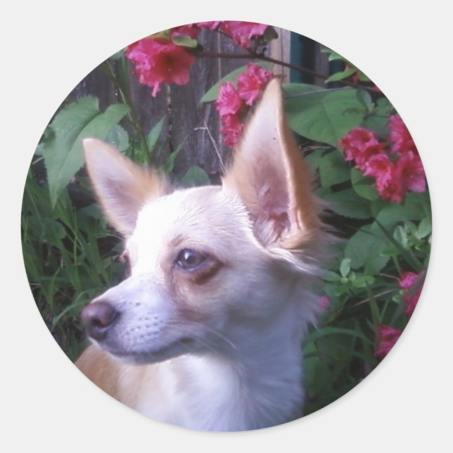 Redondo Adesivo "Adicionar a sua própria fotografia" (Frente)