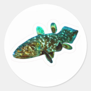 Redondo Adesivo Artístico Peixe Rei Antigo Celacanto