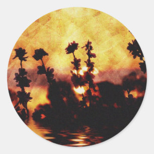 Redondo adesivo asianautico