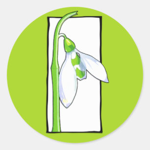 Redondo Adesivo branco de neve