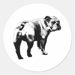 Redondo Adesivo Bulldog, Corte Limpo