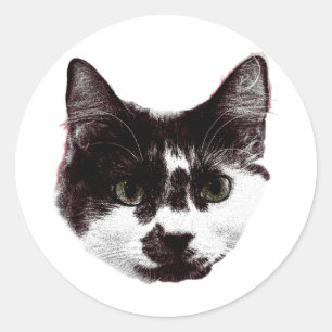 Redondo Adesivo com um Olhar Fixo Adesivo de Gato no Est