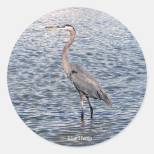 Redondo Adesivo de água do Blue Heron
