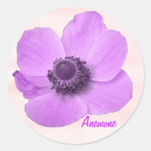 Redondo Adesivo de Anêmona Rosa e Girassol Personalizável