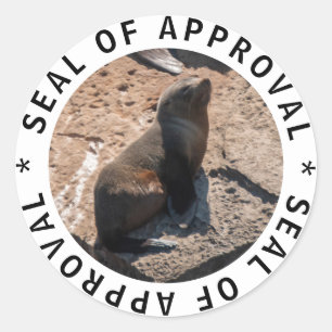 Redondo Adesivo de aprovação de bebê foca engraçadinho