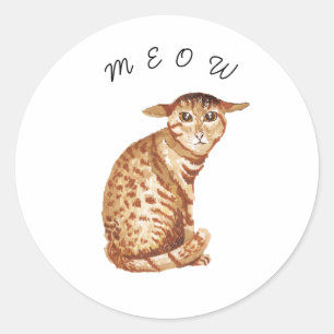 Redondo Adesivo de Aquarela de Gato Meow Fofo