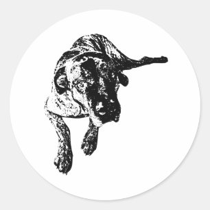 Redondo Adesivo de Arte de Cão Cane Corso em Pose Deitada