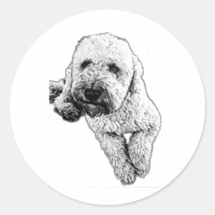 Redondo Adesivo de Arte em Tinta de Filhote de Lagotto Rea
