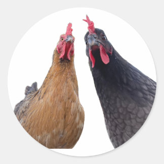 Redondo Adesivo de Aves com Atitude