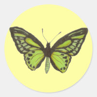 Adesivo de borboleta verde
