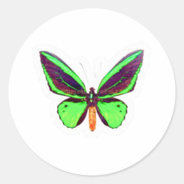 Redondo Adesivo de Borboleta Verde Lima Majestosa - Asa Co