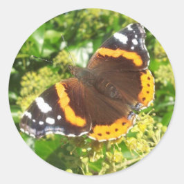 Redondo Adesivo de borboletas, adesivo