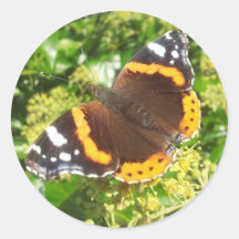 Adesivo de borboletas, adesivo