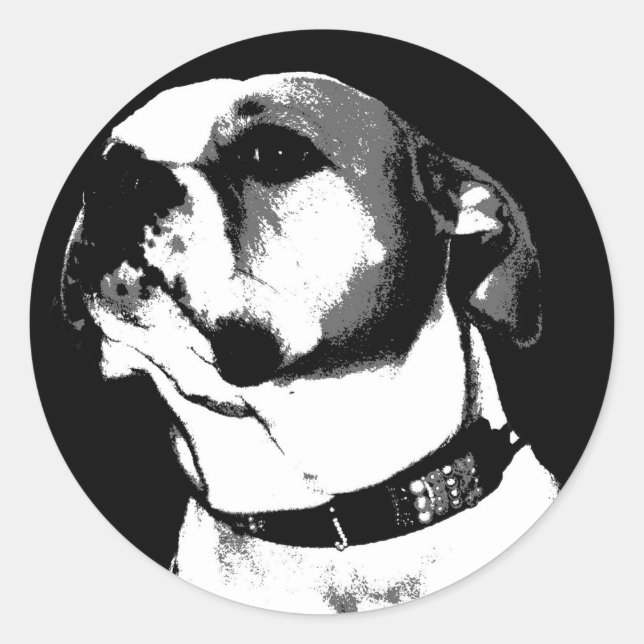 Redondo Adesivo de buldogue americano (Frente)