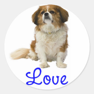 Redondo Adesivo de Cachorrinho Cavalier King Charles Spani