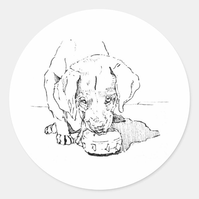 Redondo Adesivo de Cachorrinho Labrador,  (Frente)