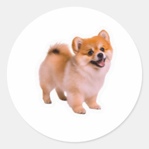 Redondo Adesivo de cachorrinho Pomerânia Fofo Feliz, Cão B