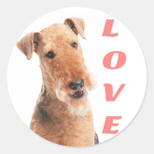 Redondo Adesivo de Cachorro Filhote Airedale Terrier Amor