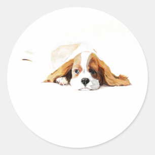 Redondo Adesivo de Cachorro King Cavalier, Presente Fofo