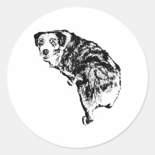 Redondo Adesivo de Cachorro Pastor Australiano – Estilo Ar