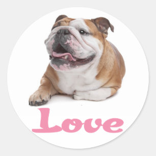 Redondo Adesivo de Coração de Cachorrinho Bulldog Inglês