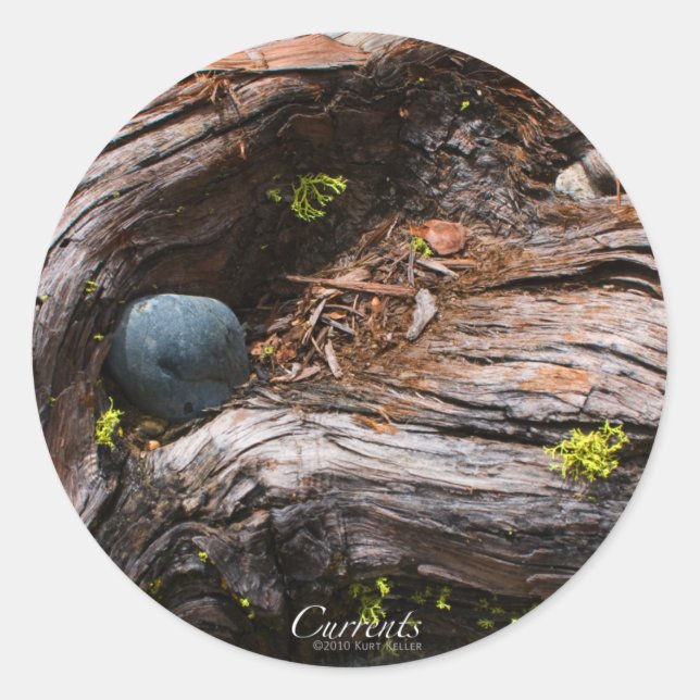 Redondo Adesivo de corrente (Frente)