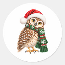 Adesivo de Coruja de Natal