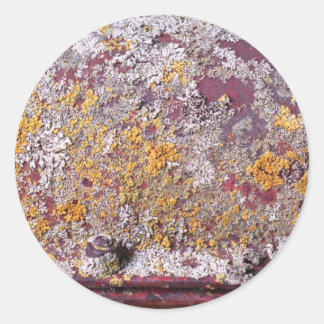 Redondo adesivo de crescimento do tubo