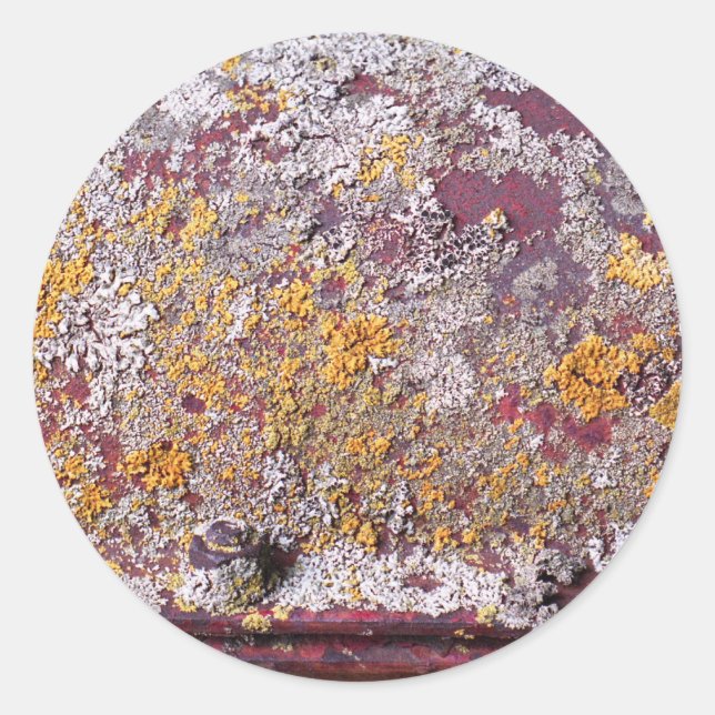 Redondo adesivo de crescimento do tubo (Frente)