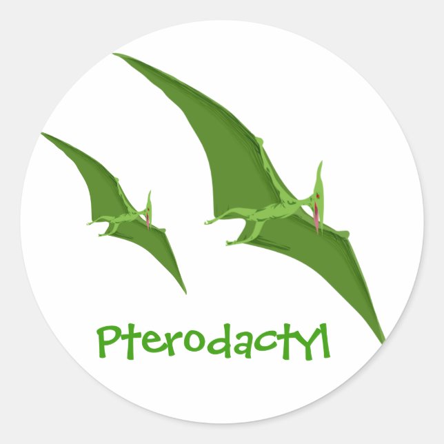 Redondo Adesivo de dinossauro Pterodactil (Frente)