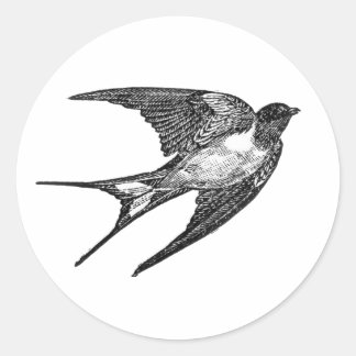 Redondo adesivo de falcão em fundo branco