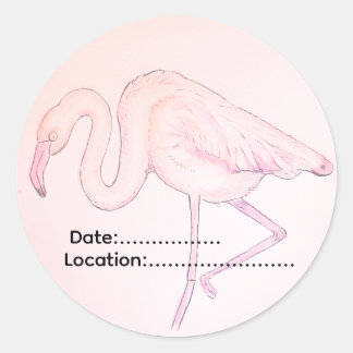 Redondo Adesivo de flamingo para observadores de aves