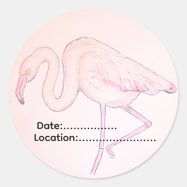 Redondo Adesivo de flamingo para observadores de aves (Frente)
