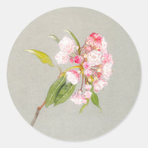 Adesivo de Flor de Laurel da Montanha