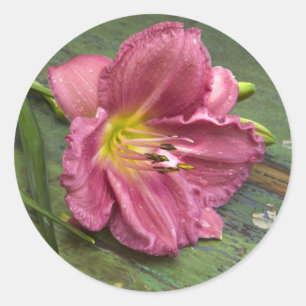 Redondo Adesivo de Flor de Lírio Rosa Floral Shabby Chic