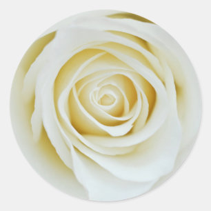 Redondo Adesivo de flor de rosa branca