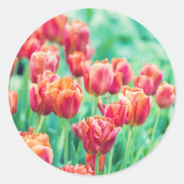 Redondo Adesivo de Foto de Tulipas de Amsterdã