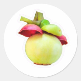 Redondo Adesivo de Fruta Mangostão, Exótico de Lombok Indo