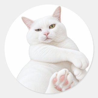 Redondo Adesivo de Gato Branco Engraçado – Gato Mal-humora