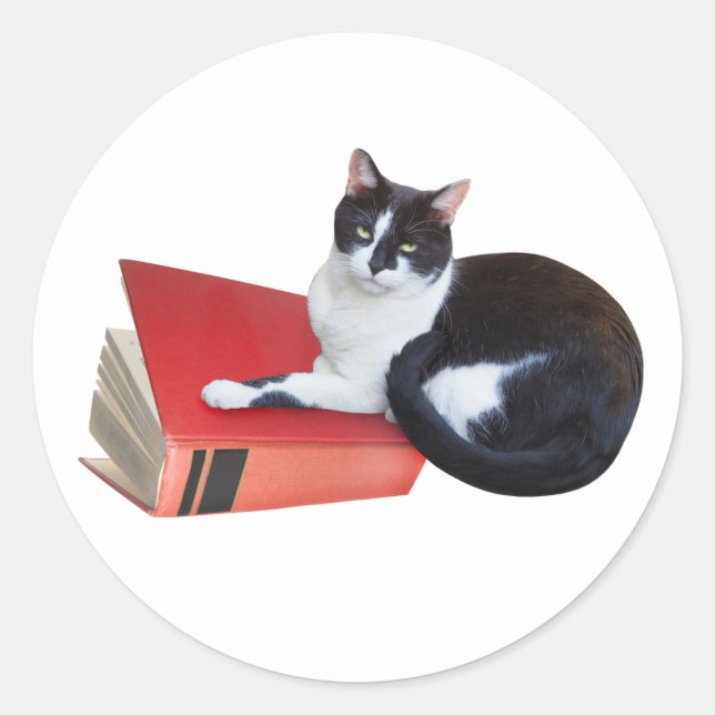 Redondo Adesivo de Gato com Livro (Frente)