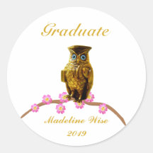 Adesivo de Graduado de Coruja Dourada Bonita