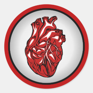 Redondo Adesivo de Ilustração de Anatomia do Coração H