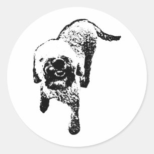Redondo Adesivo de Lagotto Romagnolo – Cachorro de Tinta e