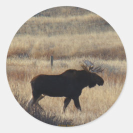 Redondo Adesivo de M5 Bull Moose