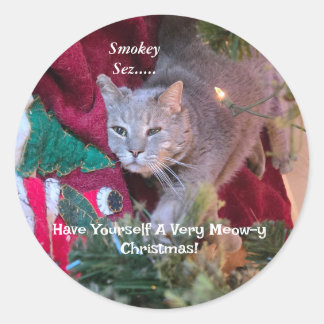 Redondo Adesivo de Natal de Gato