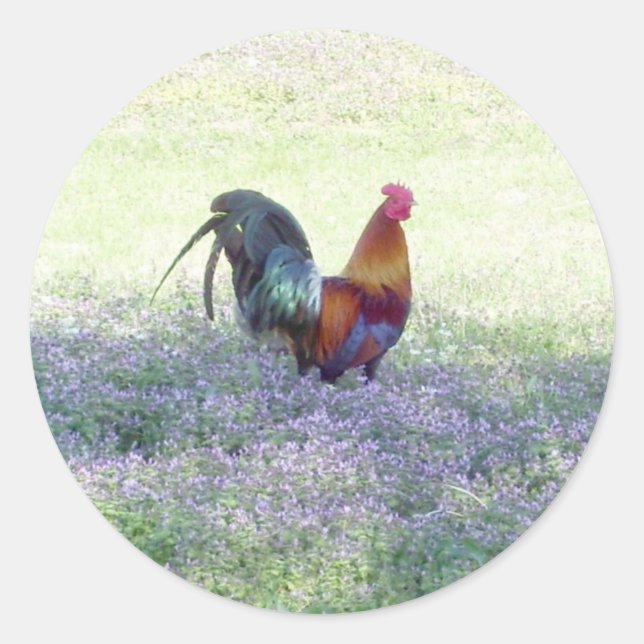 Redondo Adesivo de orgulho de penas (Frente)