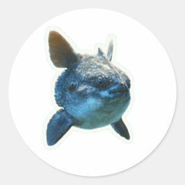 Redondo Adesivo de Peixe-Lua Majestoso (Mola Mola) - Bali