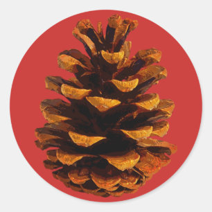 Redondo Adesivo de Pinecone Palooza